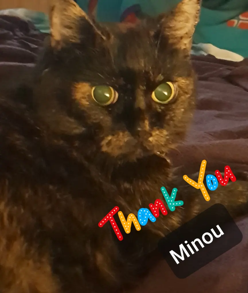 Image from Minou 