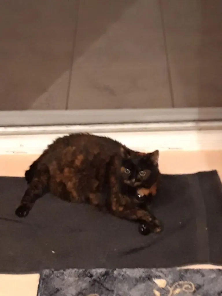Image from Minou 