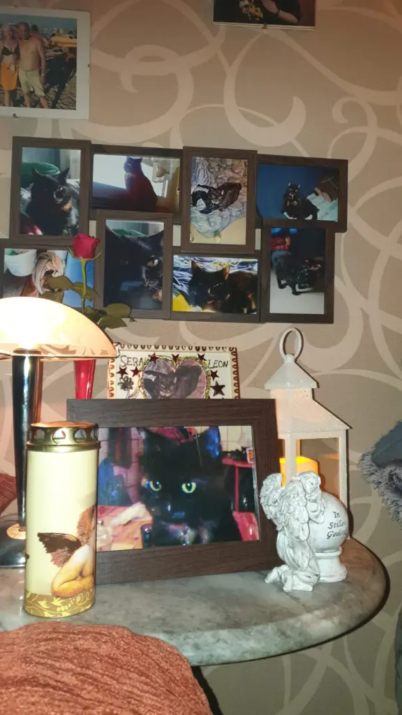 Image from Minou 