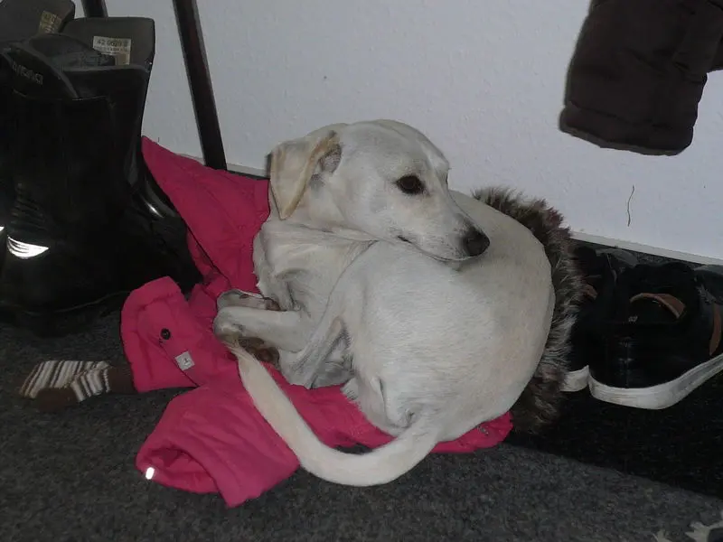Andachtsbild von Unbekannt