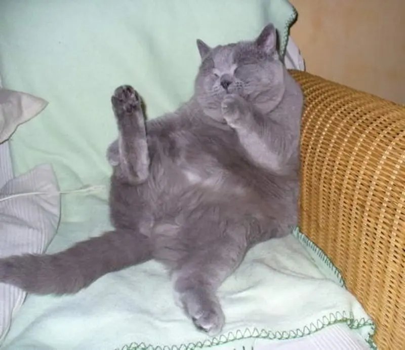 Andachtsbild von Sabine mit Kaspar tief im Herzen