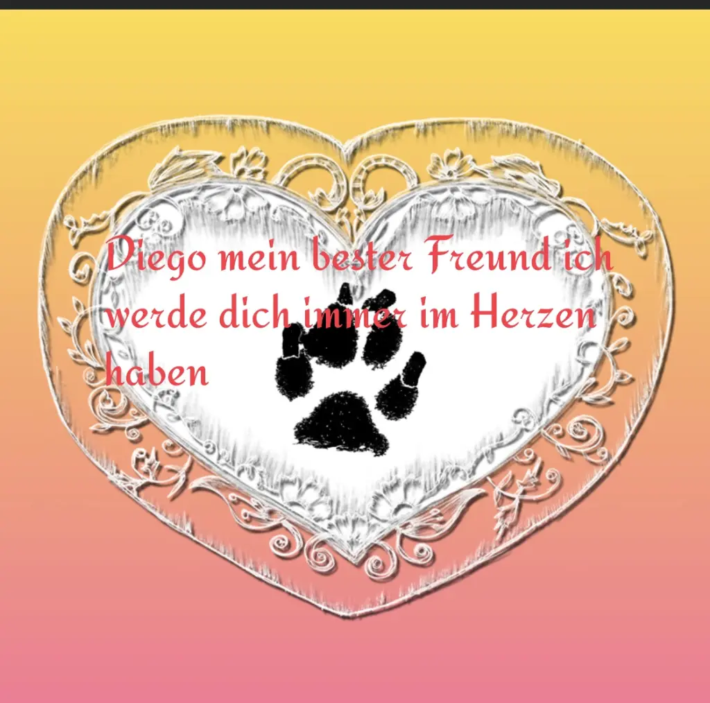 Image from Diego 