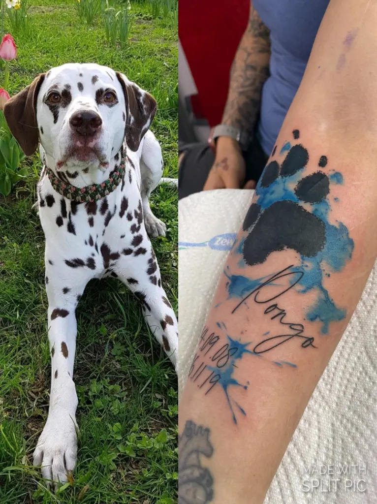 Andachtsbild von Dein dich vermissendes Frauchen