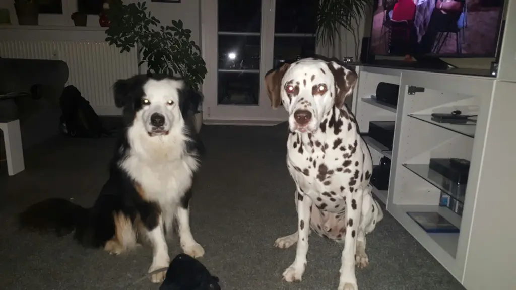 Andachtsbild von René