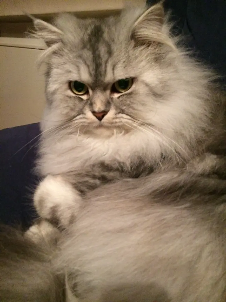 Condolence image of Verena