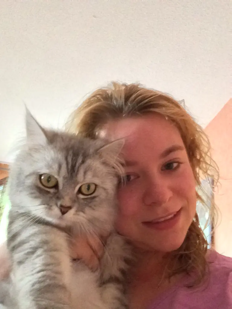 Image from Simba
