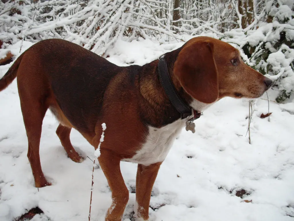 Bild von Filou
