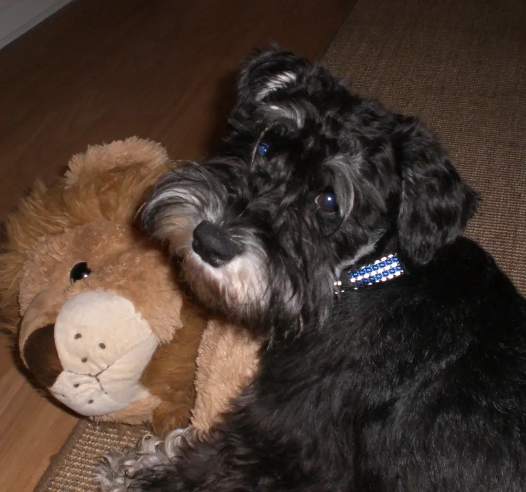 Condolence image of Martina