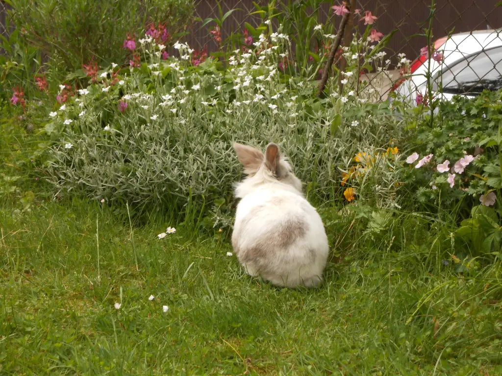Condolence image of Gudrun