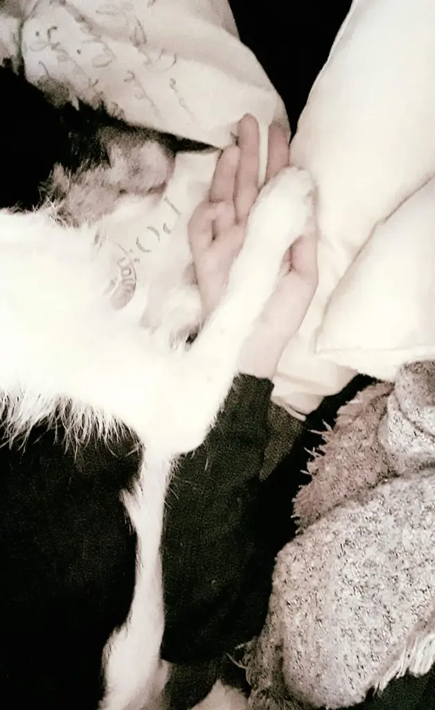 Condolence image of Stefanie