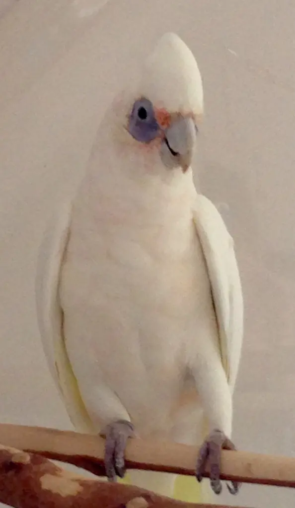 Condolence image of Andrea mit Rico im Herzen