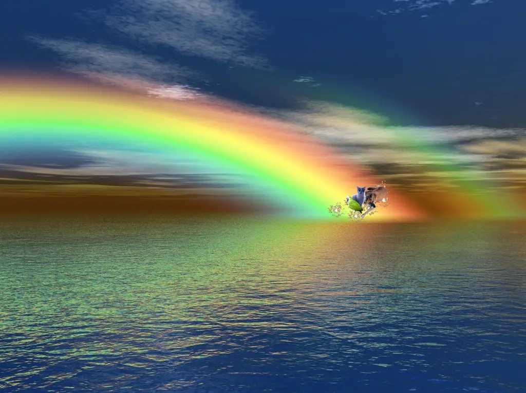 Image from Joseph "Josie"