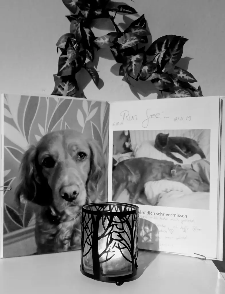 Condolence image of Denise