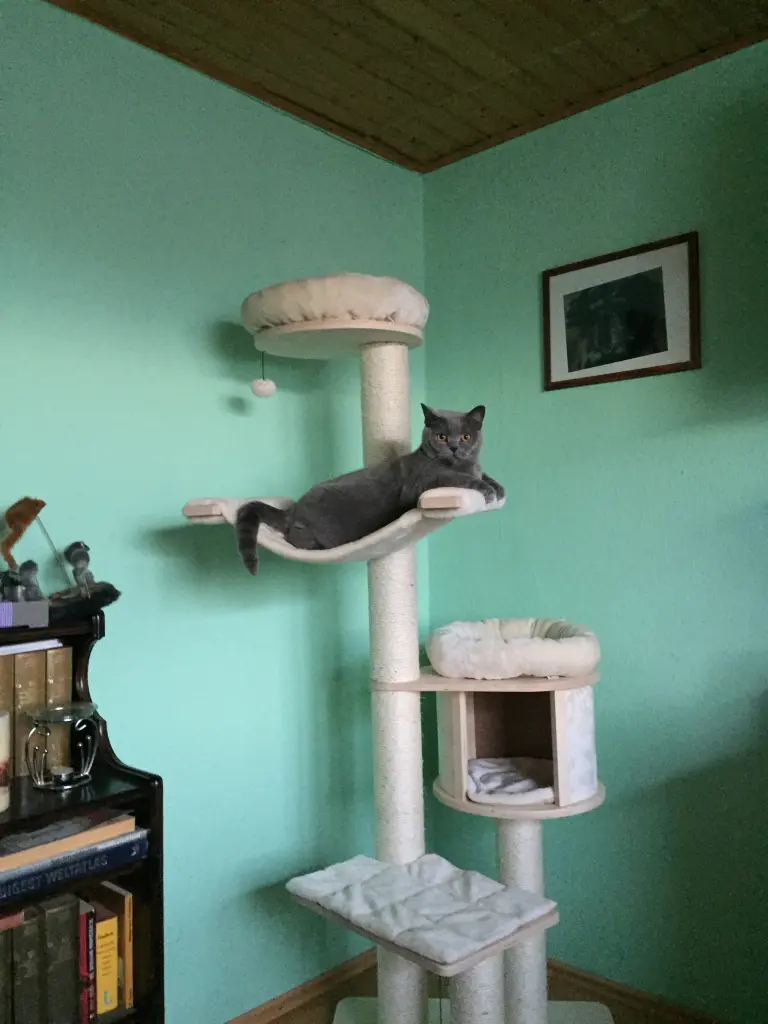 Image from Nelly