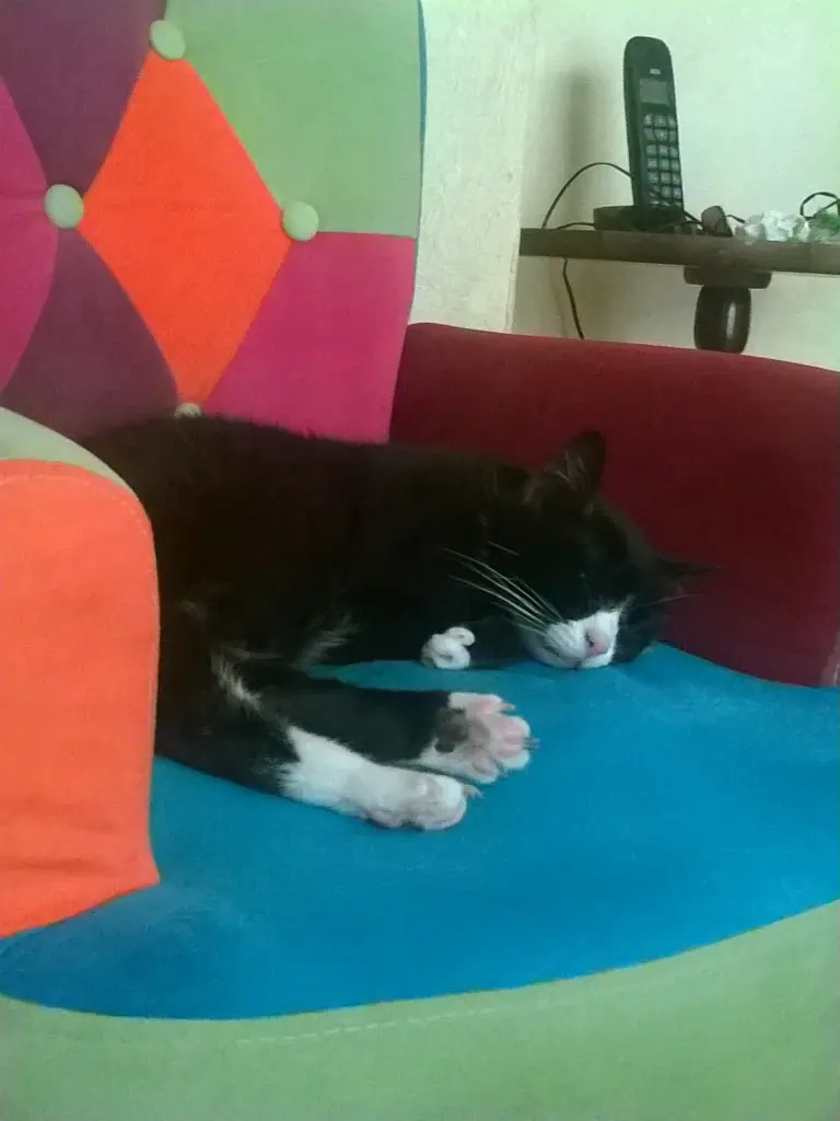 Image from Sassy