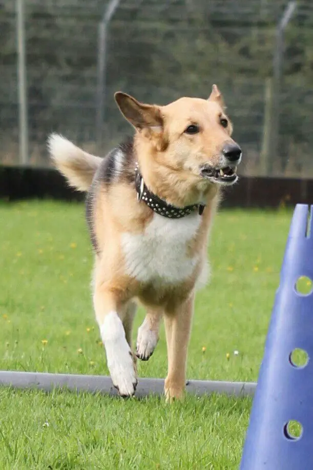 Bild von Sally