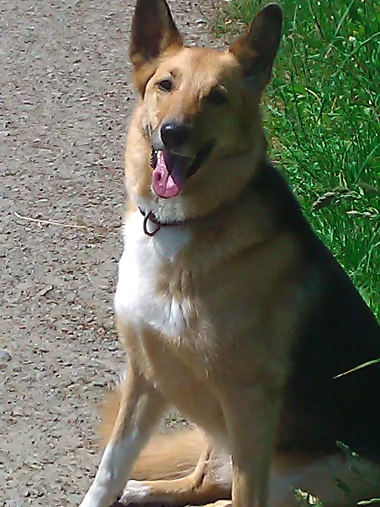 Bild von Sally