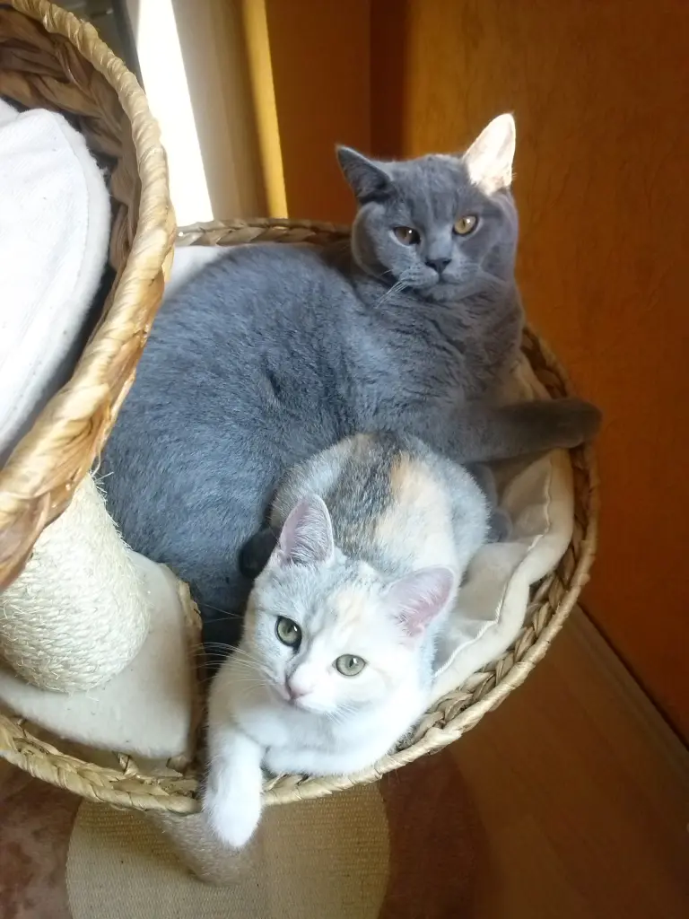 Micki und Minni