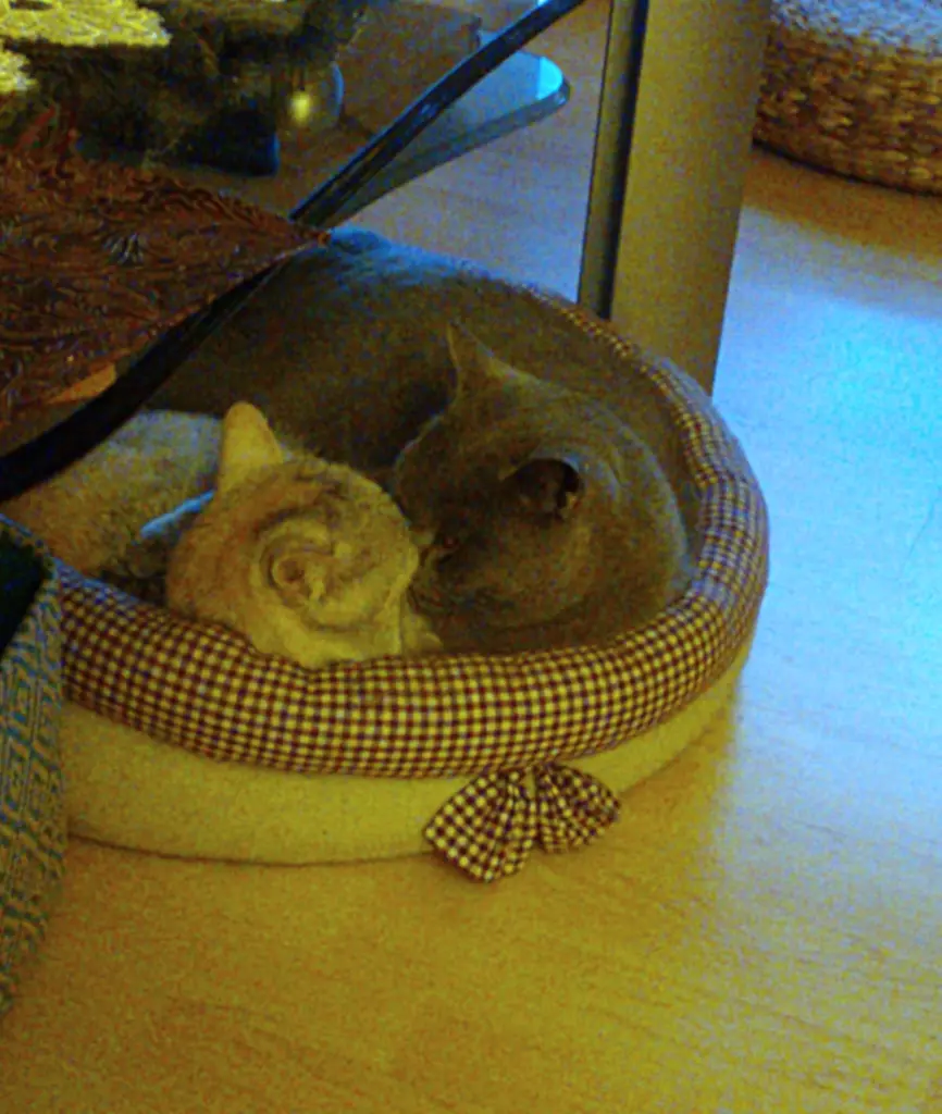 Micki und Micki
