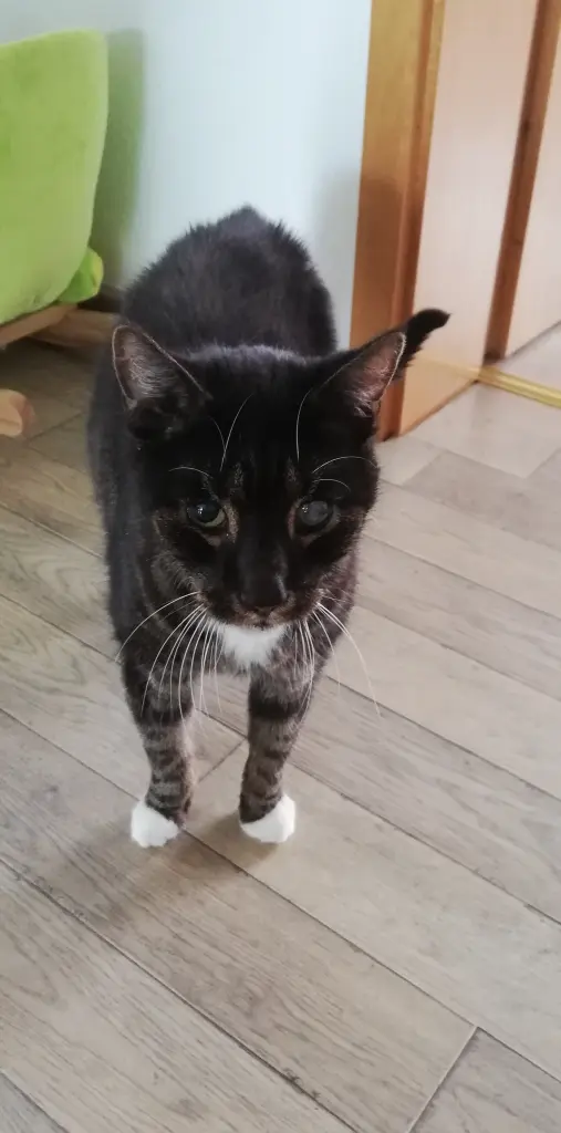Bild von Charles