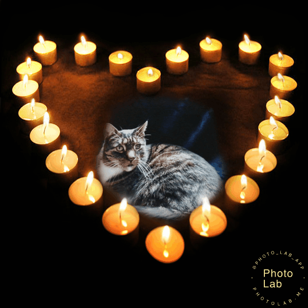 Bild von Charles