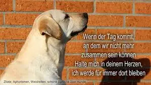 Condolence image of Unbekannt