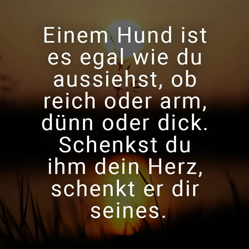 Condolence image of Unbekannt