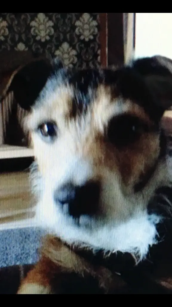 Condolence image of Claudia mit Paul im Herzen ♥️