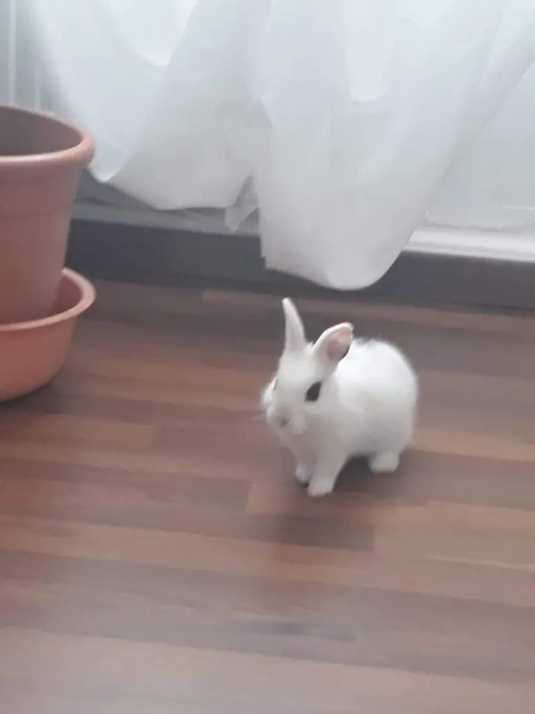 Condolence image of Monica