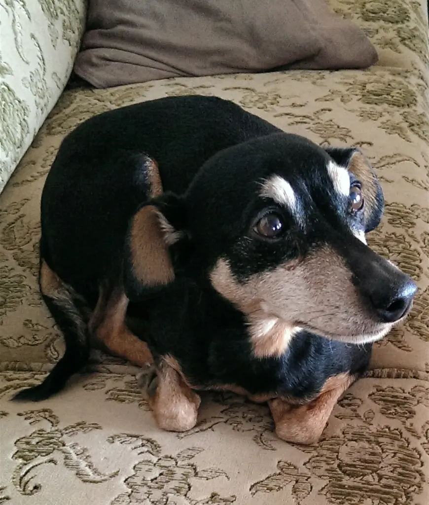 Andachtsbild von Silke mit Wichtel im Herzen