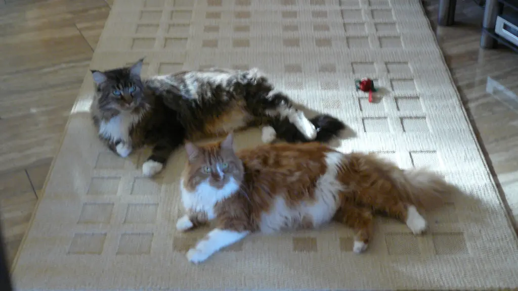 Andachtsbild von Uschi