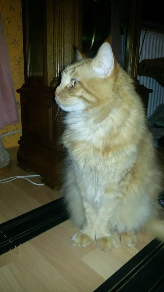 Andachtsbild von Papa und Mama