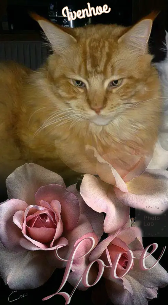 Andachtsbild von Sabine mit Kaspar tief im Herzen