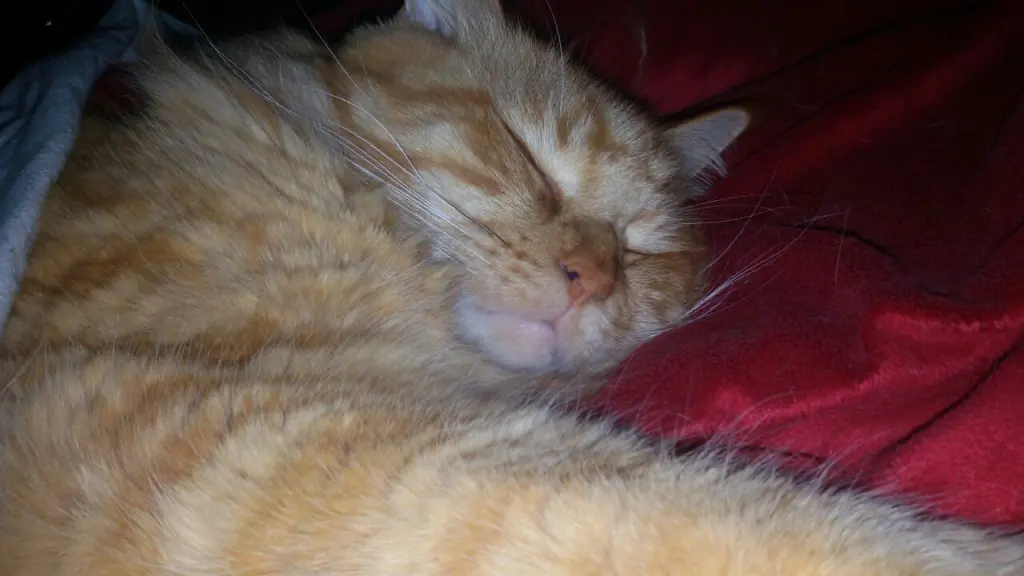 Andachtsbild von Papa und Mama