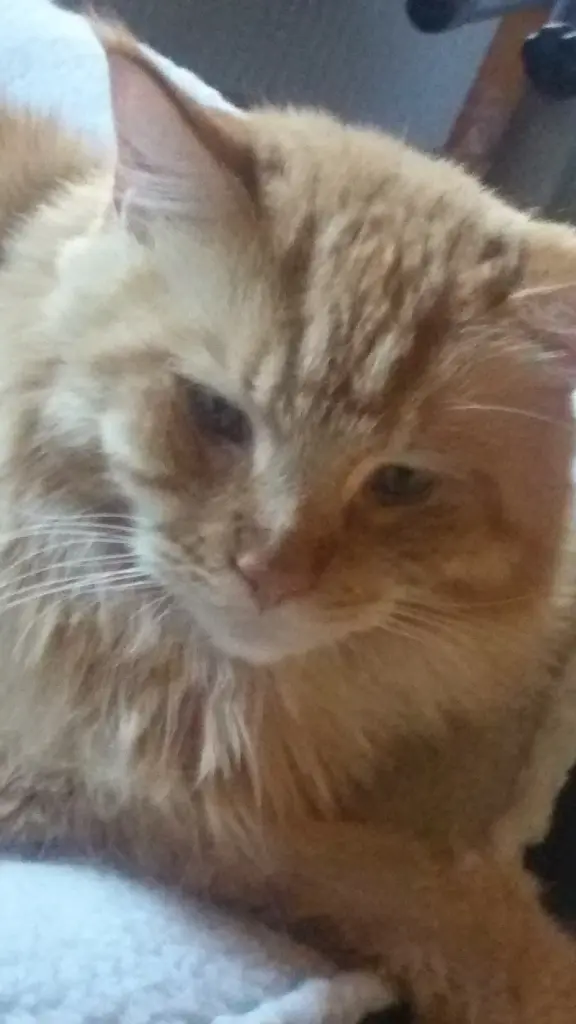 Andachtsbild von Papa und Mama