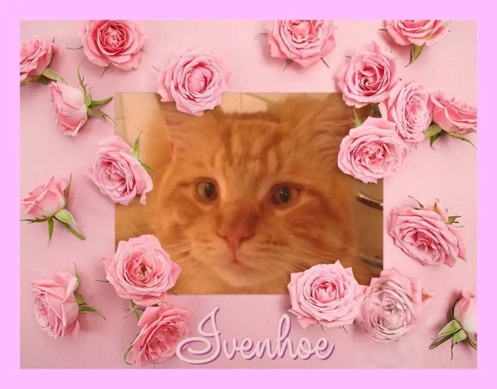 Andachtsbild von Sabine mit Kaspar tief im Herzen