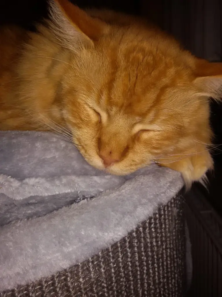 Andachtsbild von Papa und Mama