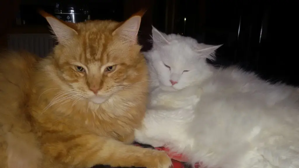 Andachtsbild von Papa und Mama