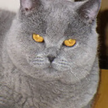 Andachtsbild von Sabine mit Kaspar tief im Herzen