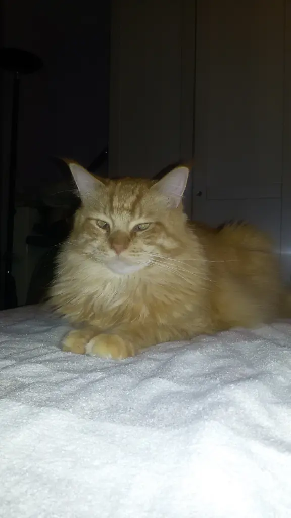 Andachtsbild von Papa und Mama