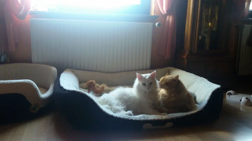 Andachtsbild von Papa und Mama