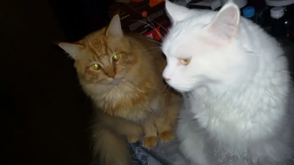 Andachtsbild von Mama und Papa