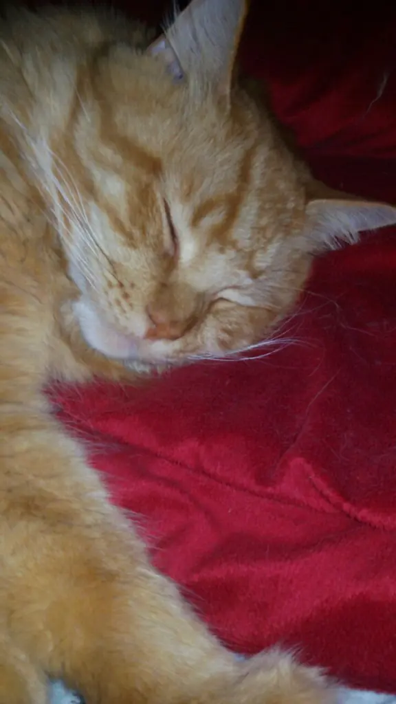 Andachtsbild von Papa und Mama