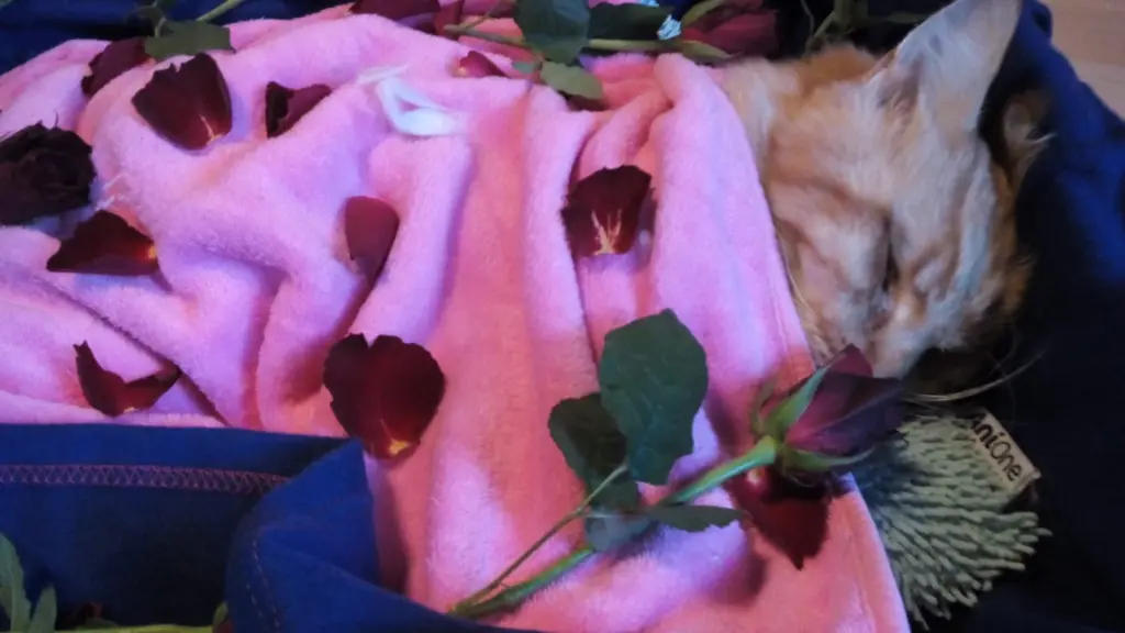 Andachtsbild von Papa und  Mama 