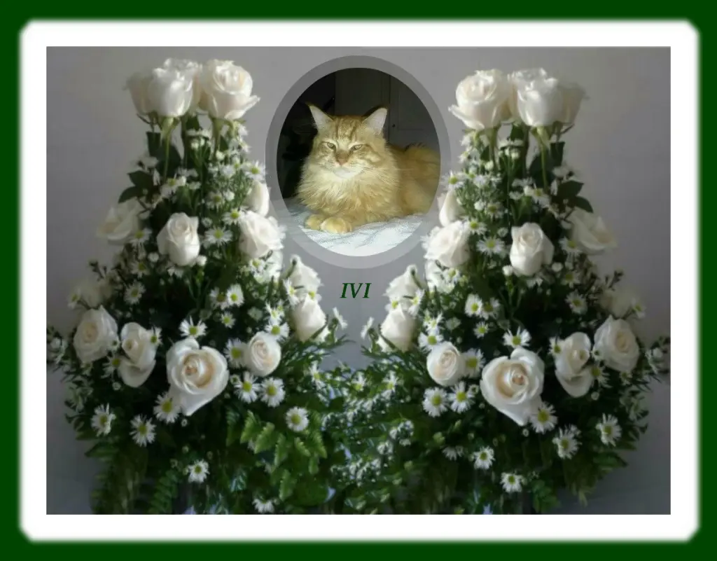 Andachtsbild von Unbekannt