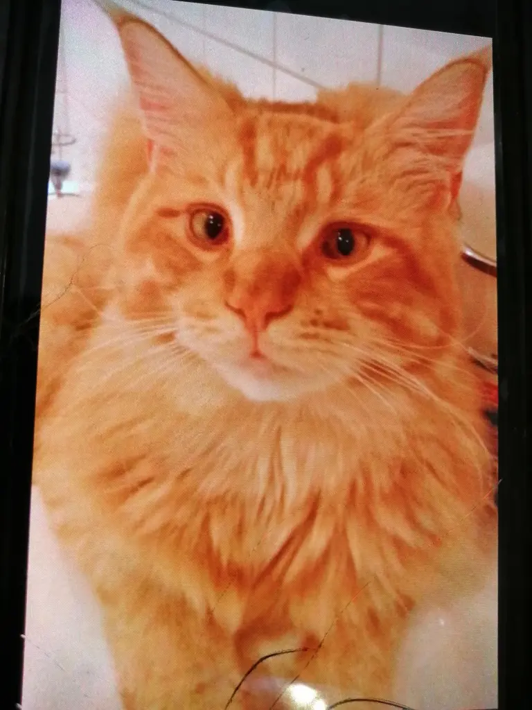 Andachtsbild von Papa u. Mama