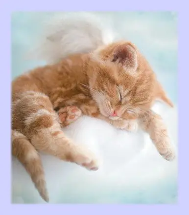 Andachtsbild von Sabine mit Kaspar tief im Herzen