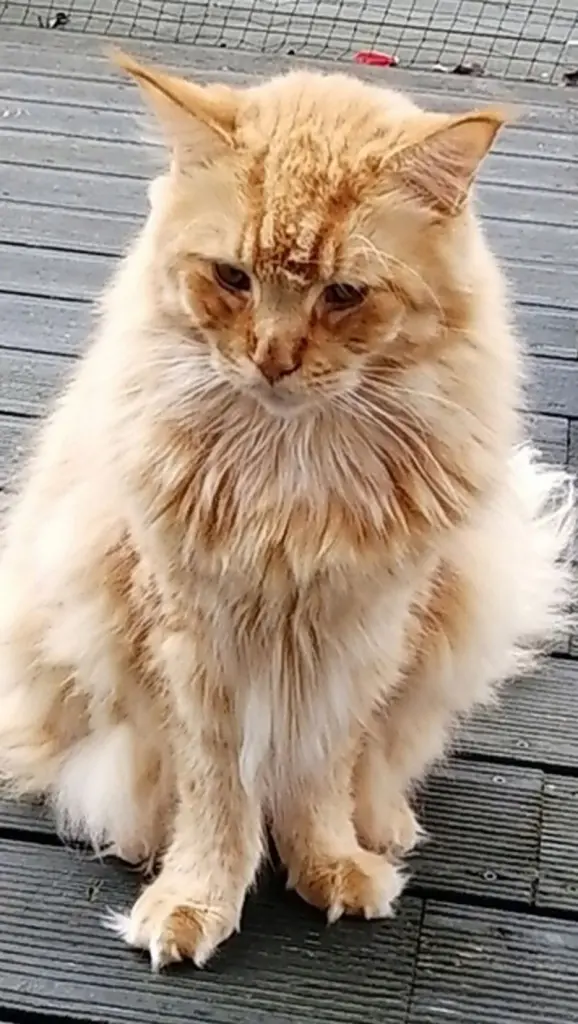 Andachtsbild von Papa und Mama