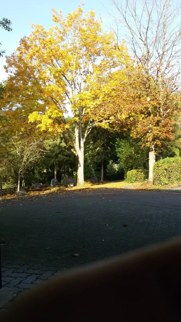 Andachtsbild von Papa und Mama 