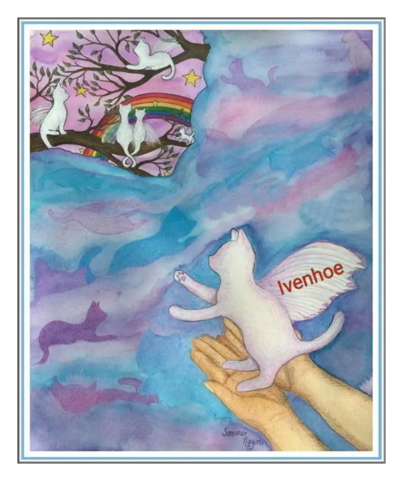 Andachtsbild von In Gedenken an Ivi zum 15. Sternchenmonat